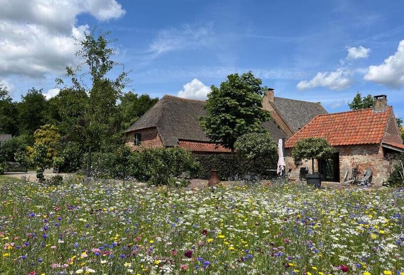 Den Eijngel Bed And Breakfast