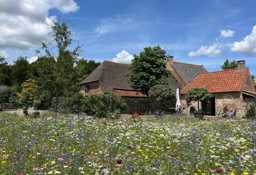 Den Eijngel Bed And Breakfast