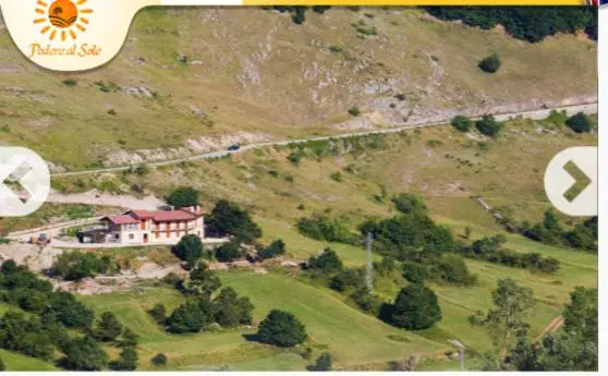 ホテル Agriturismo Podere Al Sole