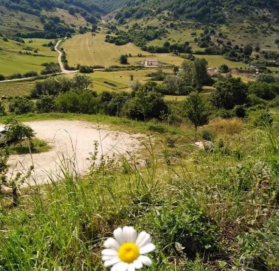 ホテル Agriturismo Podere Al Sole