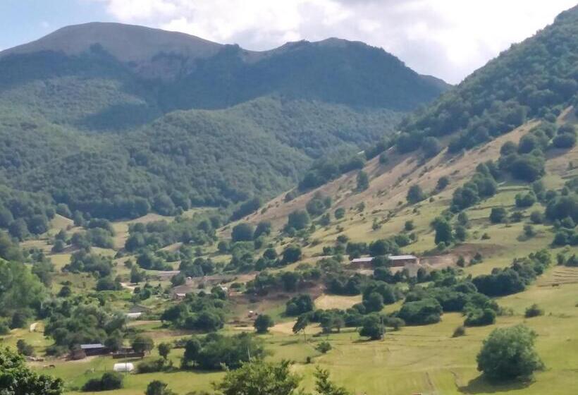 호텔 Agriturismo Podere Al Sole