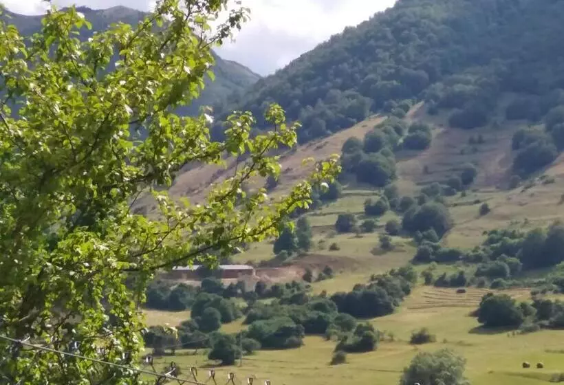 ホテル Agriturismo Podere Al Sole