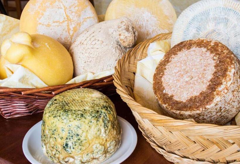 호텔 Agriturismo Podere Al Sole