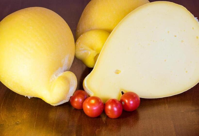 호텔 Agriturismo Podere Al Sole