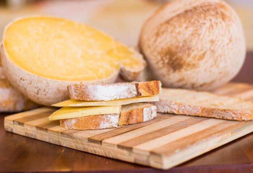 호텔 Agriturismo Podere Al Sole