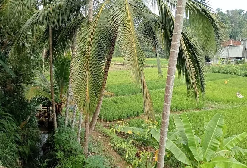 Hotelli Power Zone Guest House