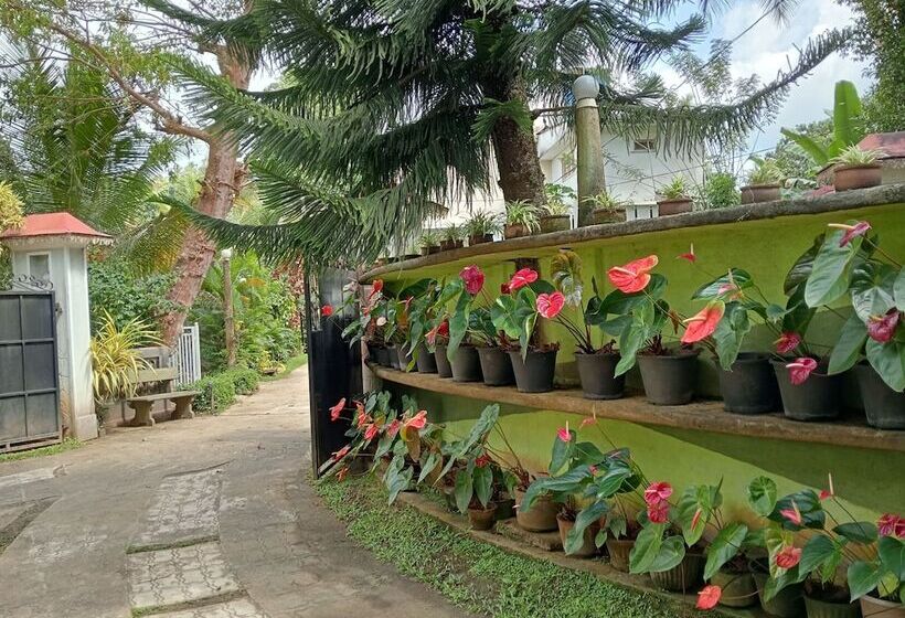 Hotel Power Zone Guest House