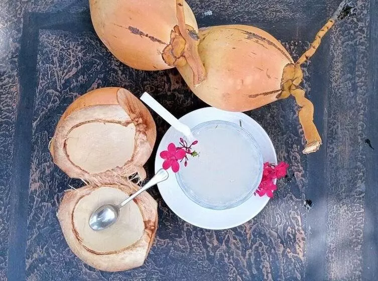 Hotelli Power Zone Guest House