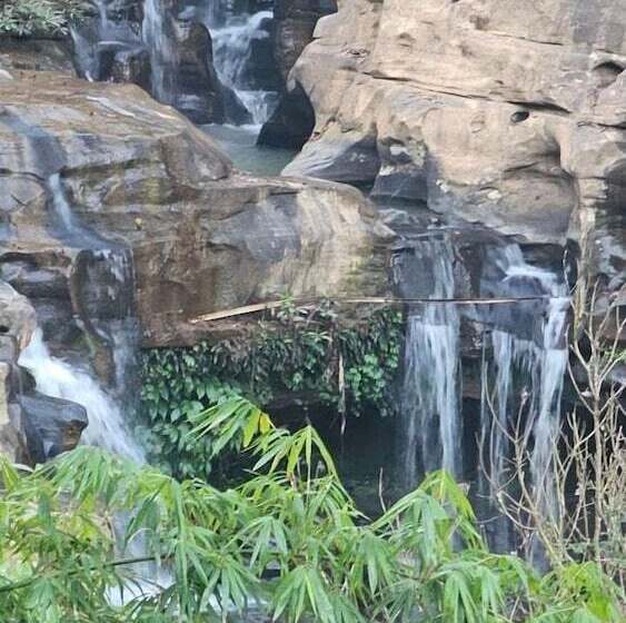 בית מלון כפרי Sainamtok Resort