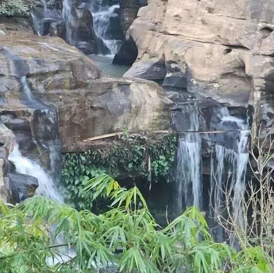 ホテル Sainamtok Resort