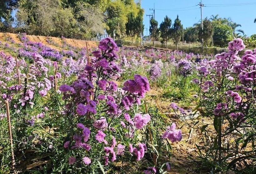 בית מלון כפרי Sainamtok Resort