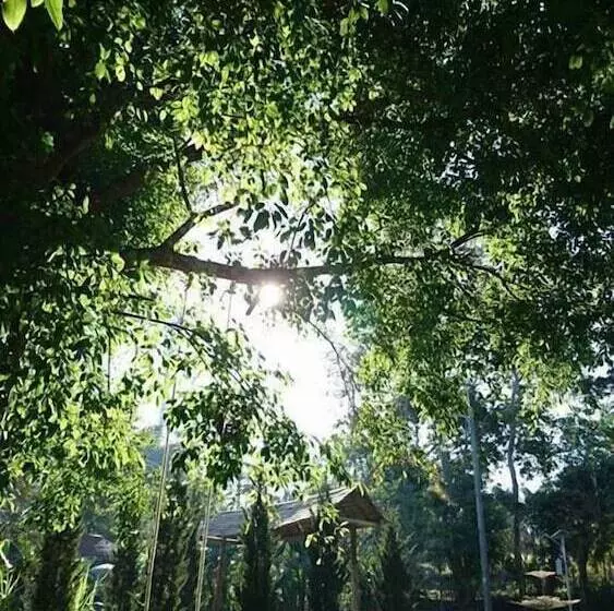 ホテル Sainamtok Resort