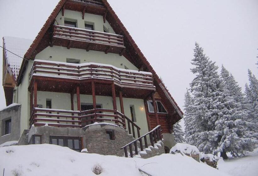 پانسیون Cabana Tomita