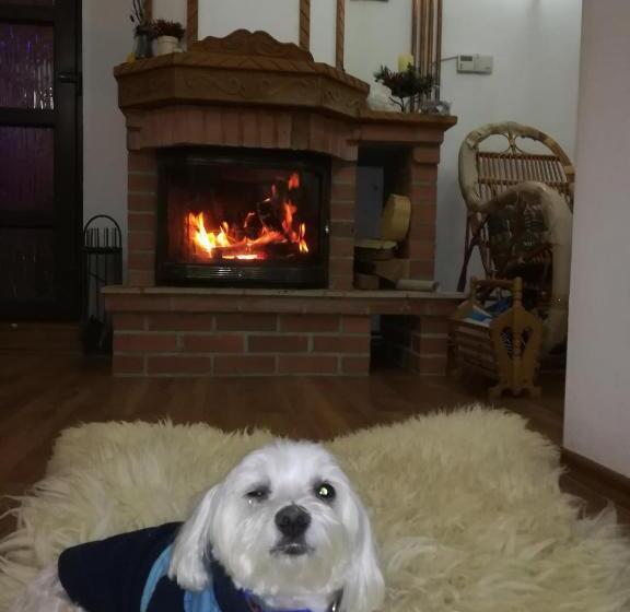 پانسیون Cabana Tomita