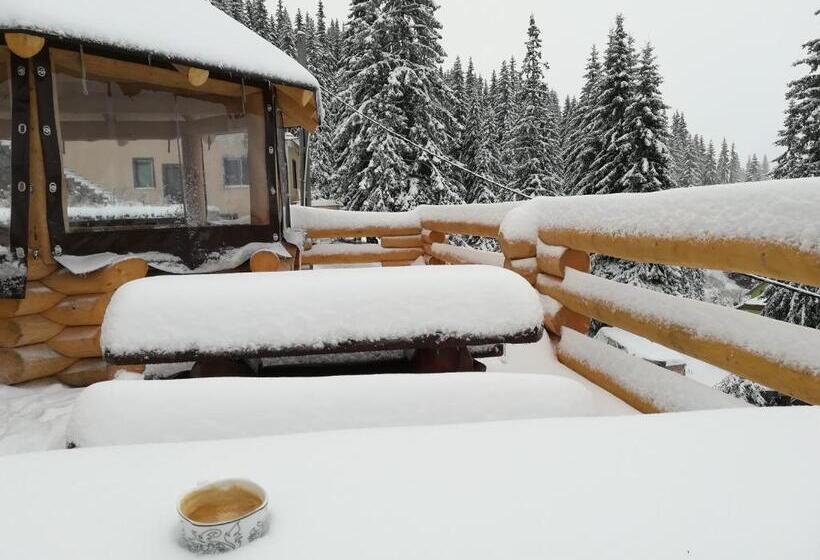 پانسیون Cabana Tomita