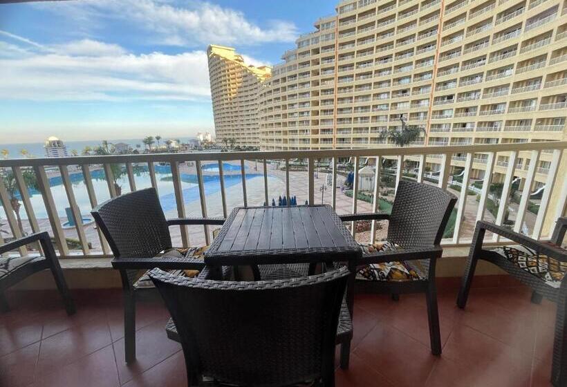 بورتو السخنة مع شركة Apt