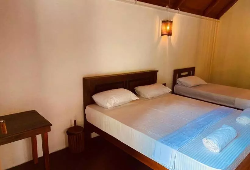 Hotelli The Rainforest Hideaway