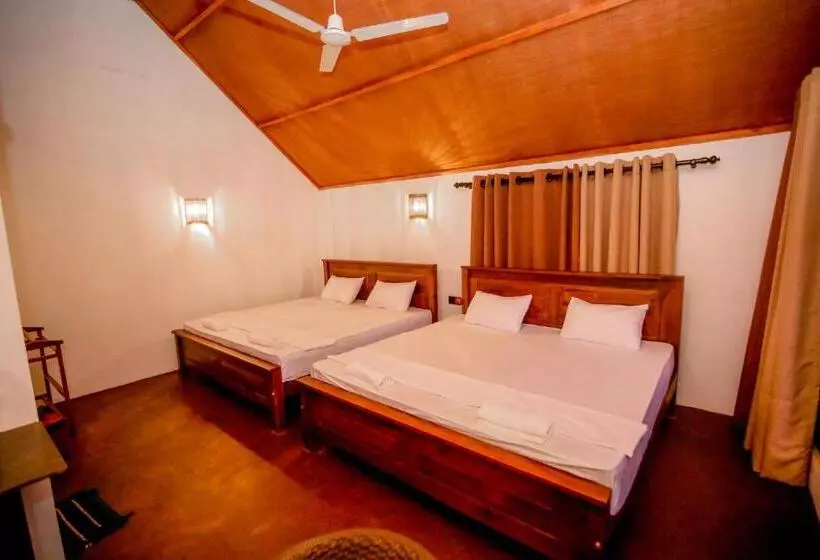 Hotelli The Rainforest Hideaway