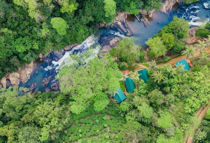 Hotel The Rainforest Hideaway