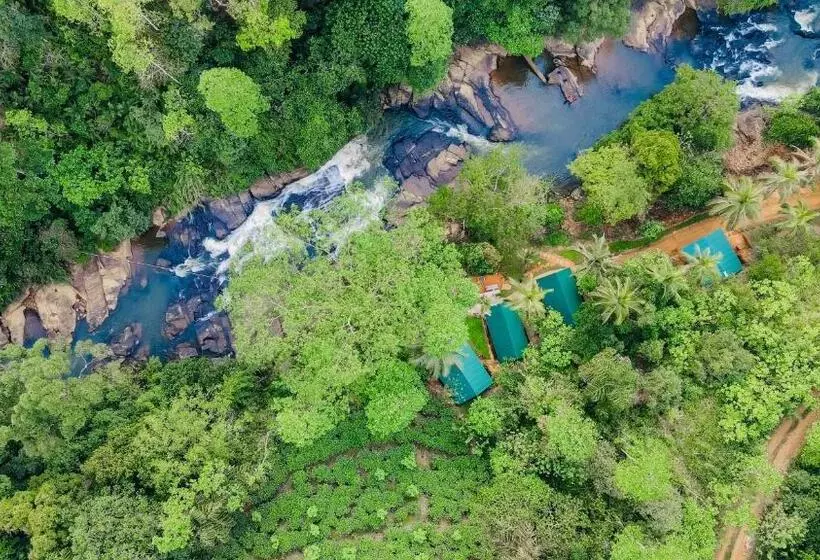 Hotelli The Rainforest Hideaway