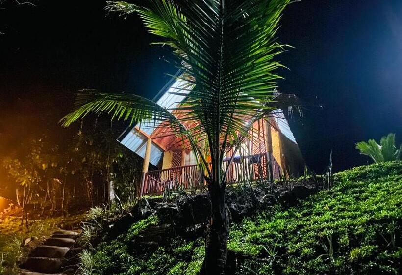 Hotel The Rainforest Hideaway