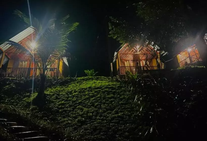 Hotelli The Rainforest Hideaway