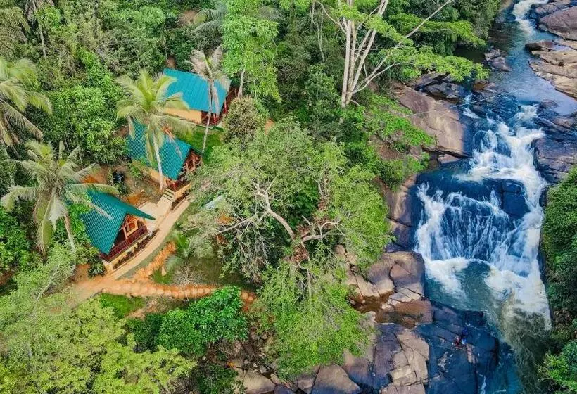 Hotelli The Rainforest Hideaway