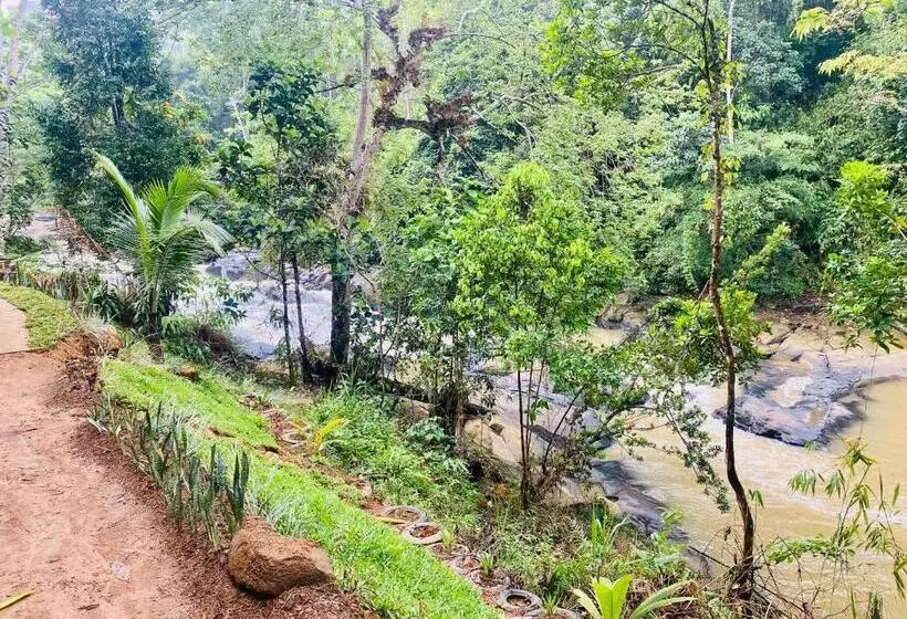 Hotelli The Rainforest Hideaway