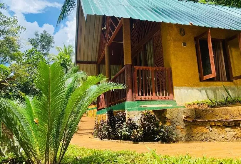 Hotelli The Rainforest Hideaway