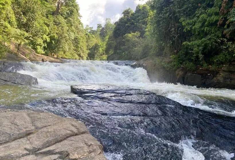 Hotelli The Rainforest Hideaway