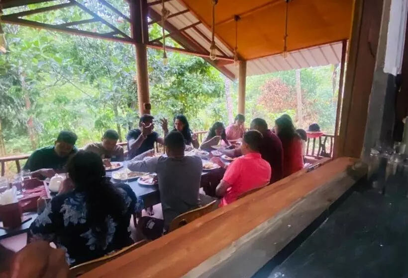 Hotelli The Rainforest Hideaway