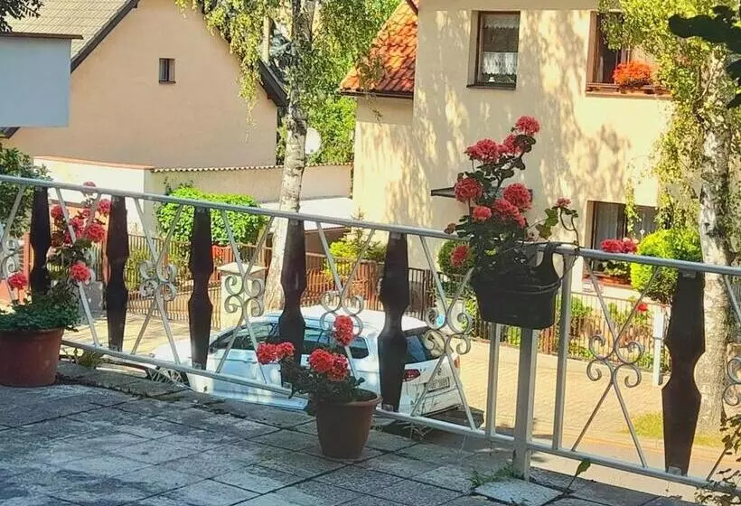 Lev I Sova