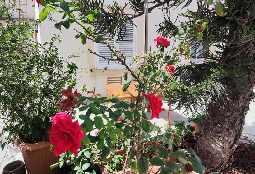 Pensjonat L Araucaria Bnb