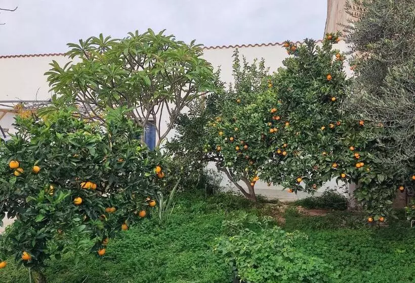 Majatalo L Araucaria Bnb