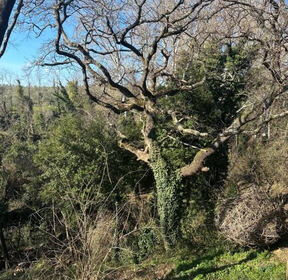 ペンション La Grotta Di Leonardo A Vinci