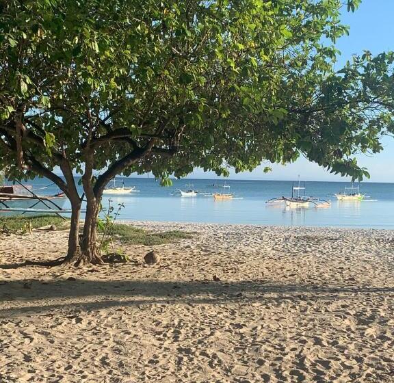 Pensione Rebecca Guest House