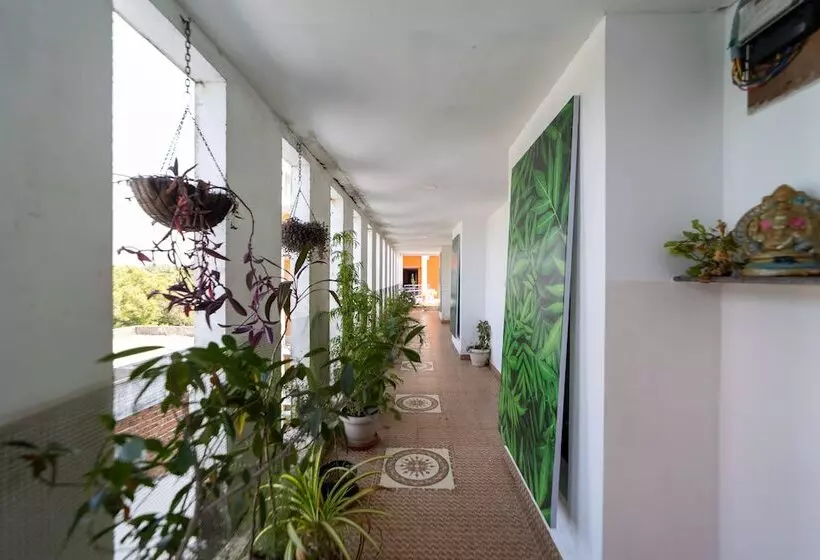 Starlite Hotels