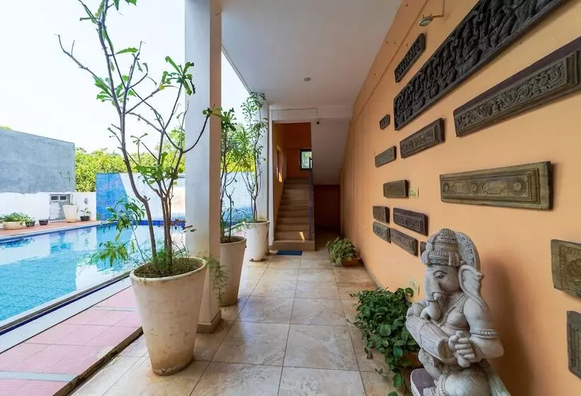 Starlite Hotels