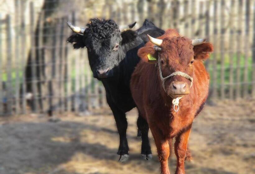 Tornácos Tanya Vendégház és Gasztroporta