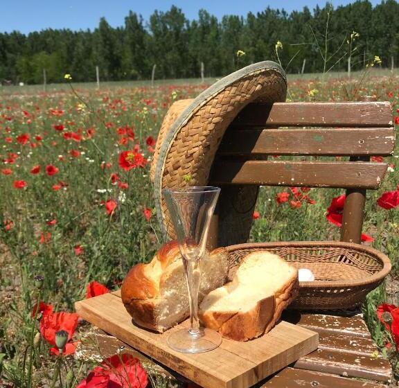 Tornácos Tanya Vendégház és Gasztroporta