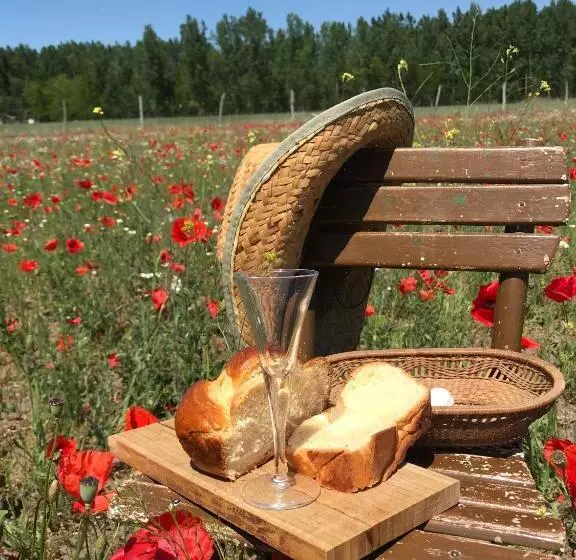 Tornácos Tanya Vendégház és Gasztroporta