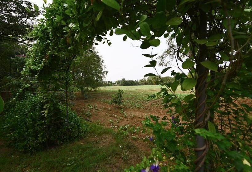 ホテル Tenpy Tiny Enchanting Tintin At Sheilma Farm, Ncr