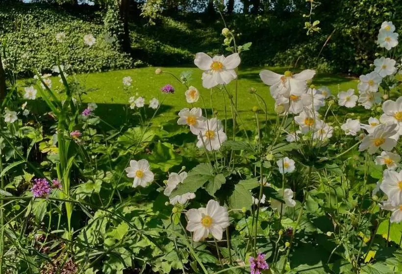 Aamiaismajoitus (B&B) Hoeve Bij Vosselen