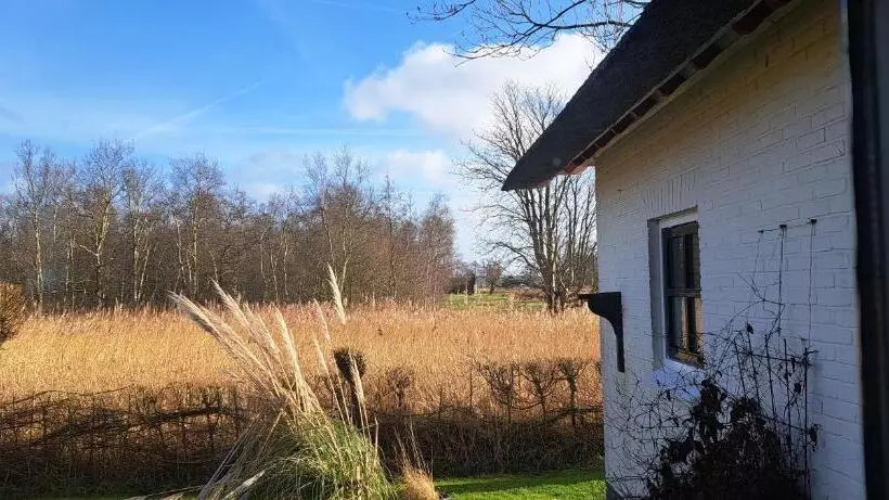 Aamiaismajoitus (B&B) Waterjuffer