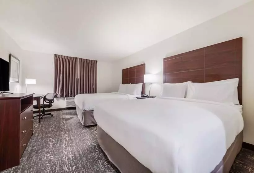 Cobblestone Hotel & Suites   Denmark