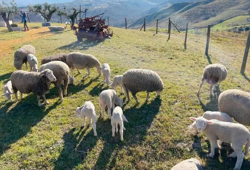 Hotelli Azienda Agricola Pietra Pizzuta