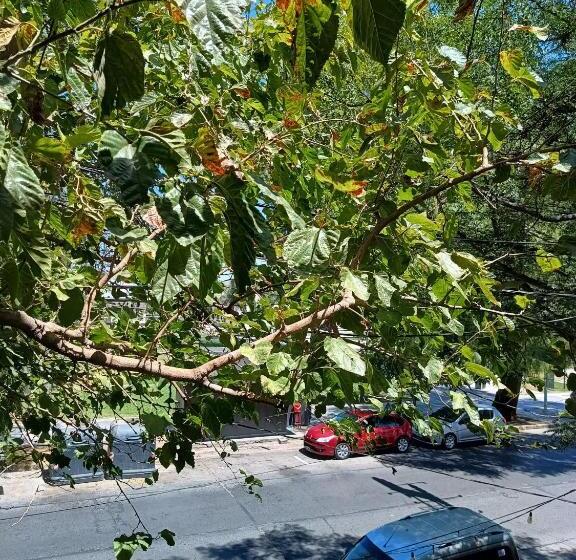 בית מלון כפרי Interlagos