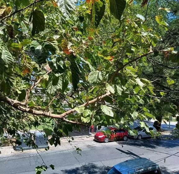 ホテル Interlagos