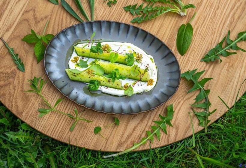 Отель Seegut Zeppelin