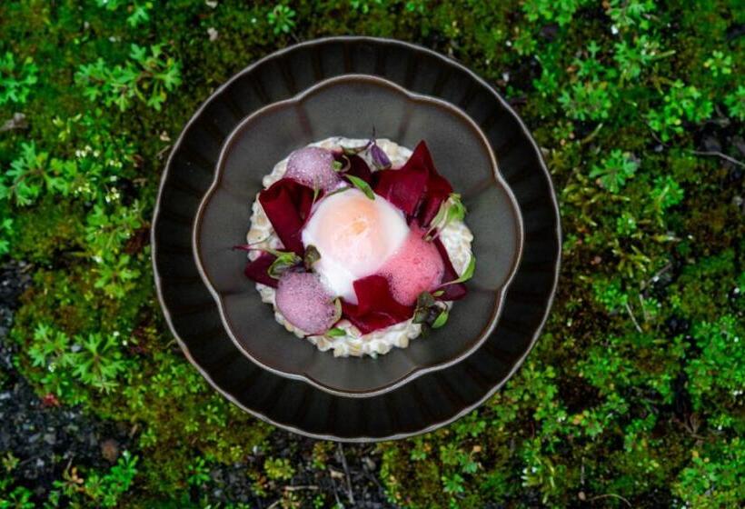 Отель Seegut Zeppelin